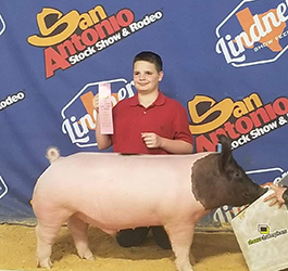 Puntney Showpigs Winners