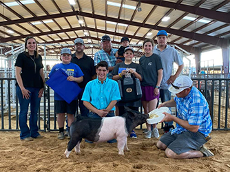 Puntney Show Pigs Winners