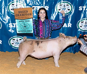 Puntney Show Pigs Winners