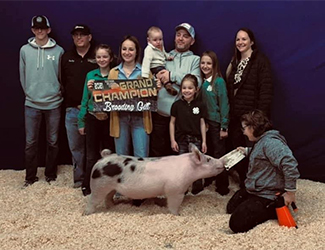 Puntney Show Pigs Winners