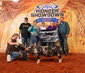 Puntntey Showpigs Winners
