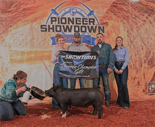 Puntntey Showpigs Winners