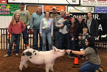 Puntney Show Pigs Winners