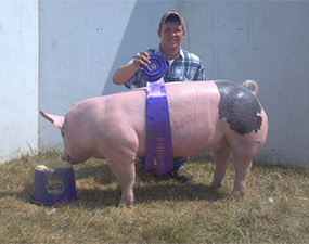 Winners